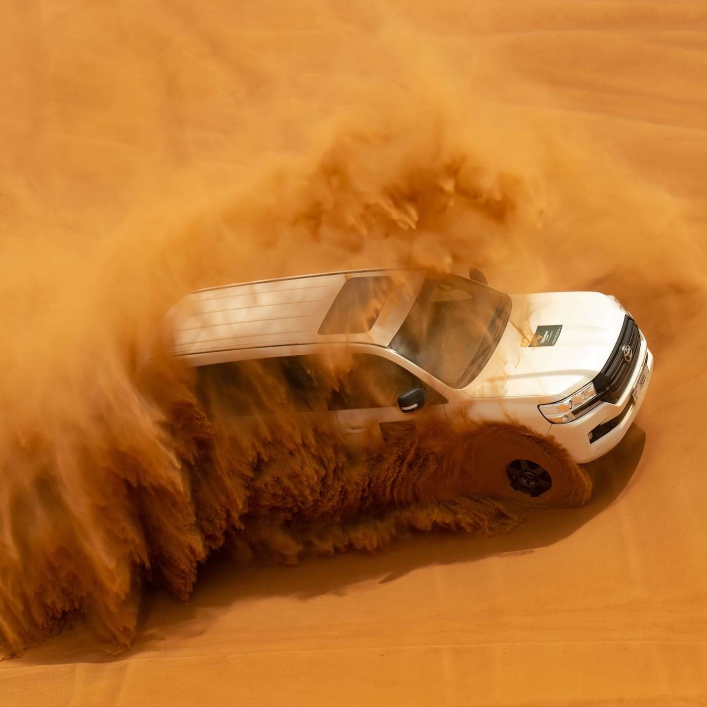 Evening Desert Safari | 149 AED Only
