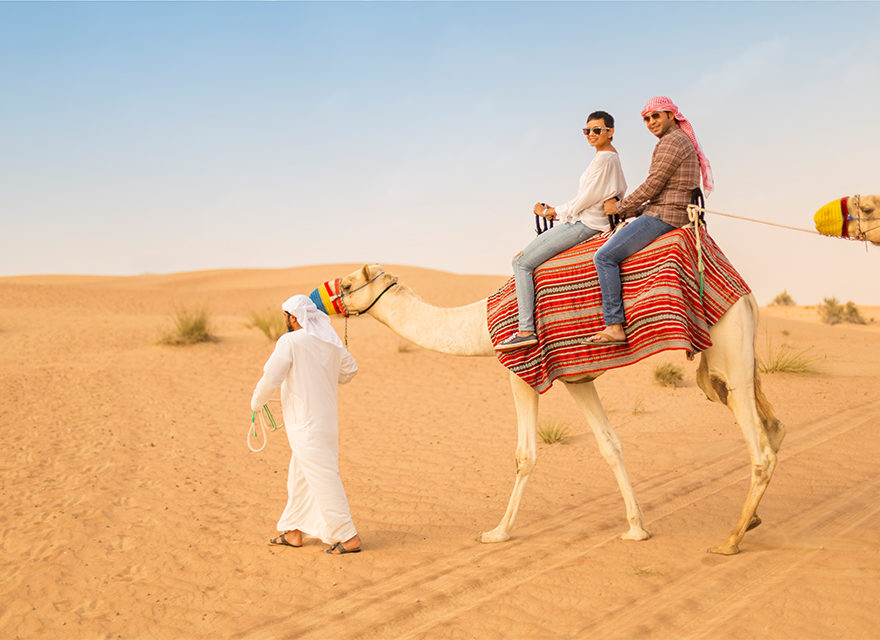 Camel Trekking Dubai | 249 AED Only